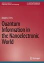 Quantum Information In The Nanoelectronic World - Preview
