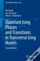 Quantum Ising Phases And Transitions In Transverse Ising Models
