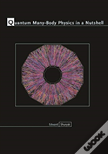 Quantum Many-Body Physics In A Nutshell