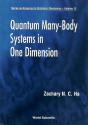 Quantum Many-Body Systems In One Dimension - Preview