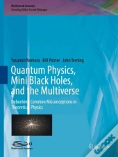 Quantum Physics, Mini Black Holes, And The Multiverse