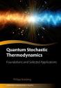 Quantum Stochastic Thermodynamics - Preview