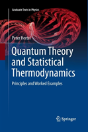 Quantum Theory And Statistical Thermodynamics - Preview