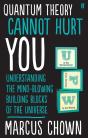 Quantum Theory Cannot Hurt You - Preview