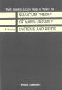 Quantum Theory Of Many Variable Systems And Fields - Preview