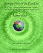 Quantum Theory Of The Third Kind - Preview
