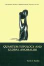 Quantum Topology And Global Anomalies - Preview