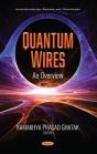 Quantum Wires: An Overview - Preview