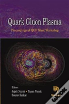 Quark Gluon Plasma