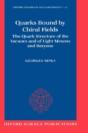 Quarks Bound By Chiral Fields - Preview