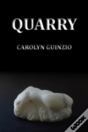 Capa do artigo Quarry