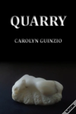 Capa do artigo Quarry