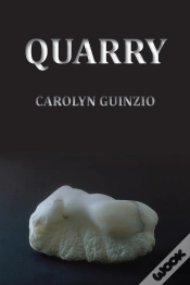 Capa do artigo Quarry
