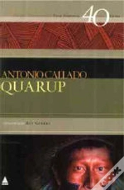 Capa do artigo Quarup