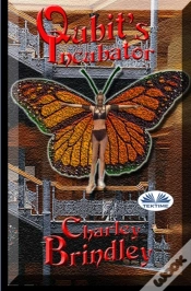 Capa do artigo Qubit S Incubator