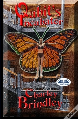 Capa do artigo Qubit S Incubator
