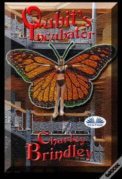 Capa do artigo Qubit'S Incubator
