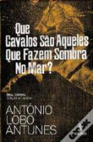 Que Cavalos São Aqueles Que Fazem Sombra No Mar?