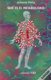 Capa do artigo Que Es El Metabolismo  