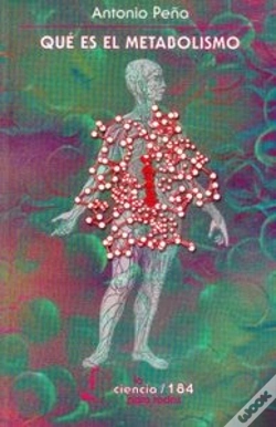 Capa do artigo Que Es El Metabolismo  