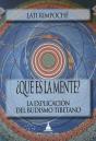 ¿Que Es La Mente? : La Explicacion Del Budismo Tibetano - Preview