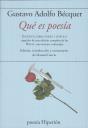 Que Es Poesia - Preview