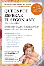 Capa do artigo Què Es Pot Esperar El Segon Any