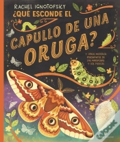 Capa do artigo ¿Que Esconde El Capullo De Una Oruga?