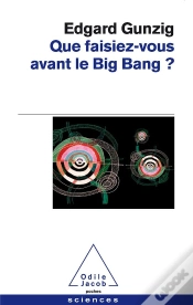 Capa do artigo Que Faisiez-Vous Avant Le Big Bang ?