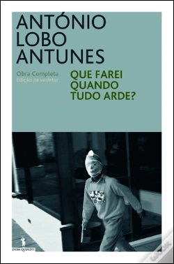 Capa do artigo Que Farei Quando Tudo Arde?