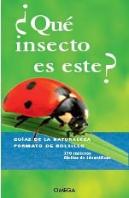 ¿Que Insecto Es Este?