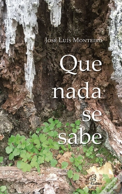 Capa do artigo Que Nada se Sabe 