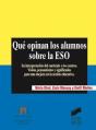 Qué Opinan Los Alumnos Sobre La Eso - Preview