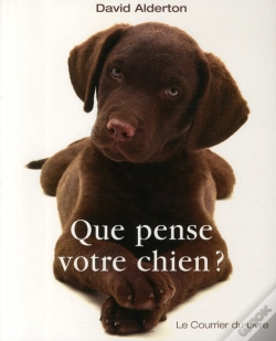 Capa do artigo Que Pense Votre Chien ?