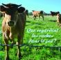 Que Regardent Les Vaches Dans Le Pré ? - Preview