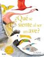 Que Se Siente Al Ser Un Ave - Preview