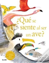 Capa do artigo Que Se Siente Al Ser Un Ave