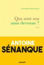 Que Sont Nos Amis Devenus ? - Preview