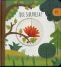 Que Surpresa! - Preview