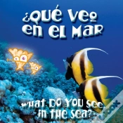 Capa do artigo Que Veo En El Mar?