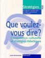 Que Voulez-Vous Dire? Competence Culturelle - Preview
