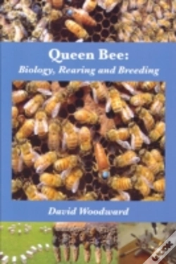 Capa do artigo Queen Bee