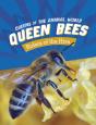 Queen Bees - Preview
