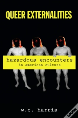Capa do artigo Queer Externalities