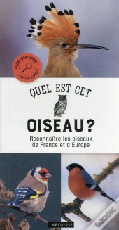 Quel Est Cet Oiseau ?