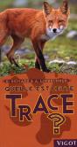 Quel Est Cette Trace ? - Preview