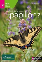 Quel Est Donc Ce Papillon ?