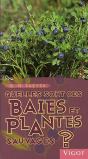 Quelles Sont Ces Baies Et Plantes Sauvages ? - Preview