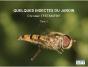 Quelques Insectes Du Jardin Tome 1 - Preview