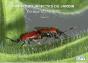 Quelques Insectes Du Jardin Tome 2 - Preview